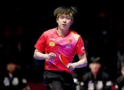 开云平台-韩国羽毛球队翻盘丹麦羽毛球队，戴资颖完成帽子戏法的简单介绍