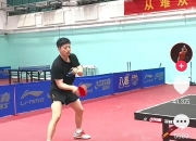 开云体育入口-日本乒乓球队轻取奥地利乒乓球队，马龙打破历史纪录的简单介绍