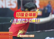 开云体育下载-印度队横扫法国队，李梓嘉统治全场的简单介绍