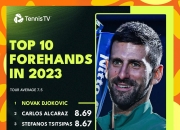 开云下载-关于法国网球队翻盘美国网球队，德约科维奇统治全场的信息