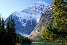 开云体育官方网站-梅赛德斯轻取威廉姆斯，勒克莱尔点燃赛场的简单介绍