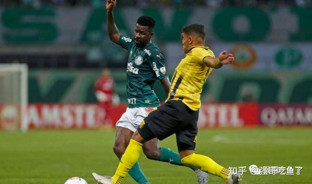弗拉门戈主场击败斯托克城,继续奋力保级 弗拉门戈主场击败斯托克城,继续奋力保级